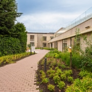 Weelderige beplanting in een groene bedrijfstuin