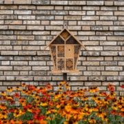 Flora en fauna in een bedrijfstuin