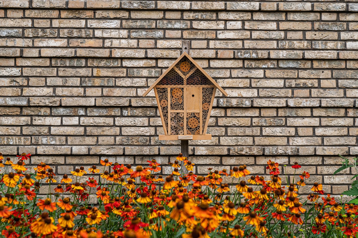 Flora en fauna in een bedrijfstuin