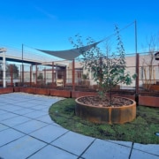 Vergroening van daken door serum en bloembakken