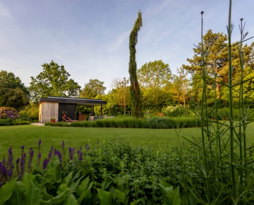 Treursequoia als hoogtepunt in de tuin