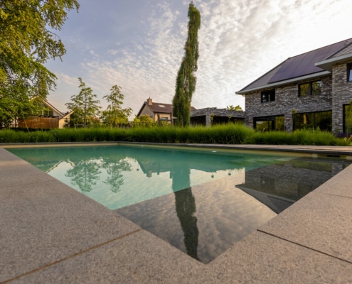 Weerspiegeling van de beplanting in het zwembadwater