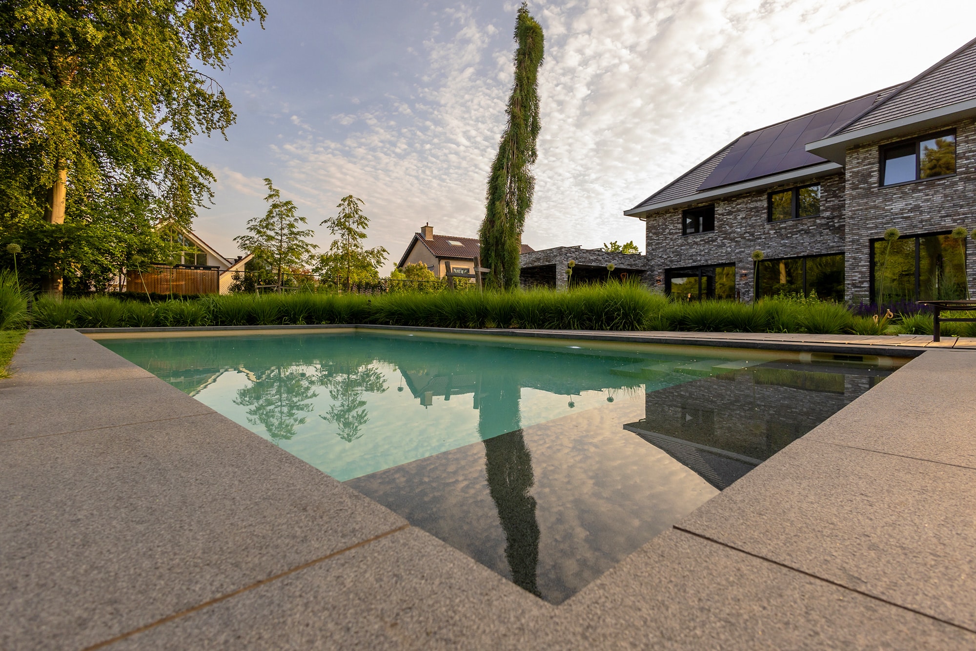 Weerspiegeling van de beplanting in het zwembadwater