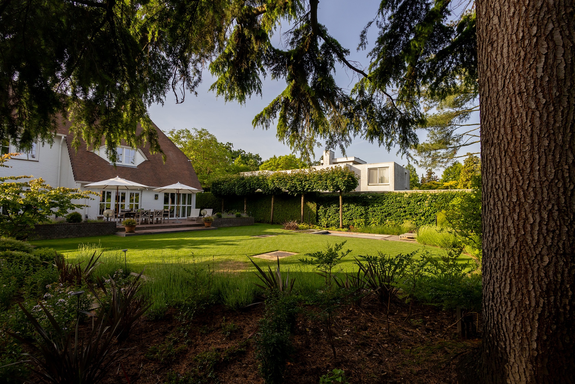 Sprookjesachtige tuin